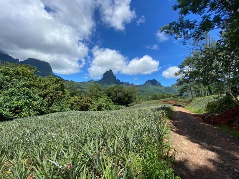 Beach De Reve De Moorea Hauru Luaran gambar